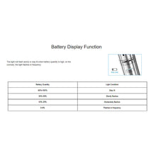 Load image into Gallery viewer, FALSE
